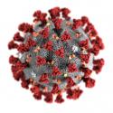Prevention for coronavirus