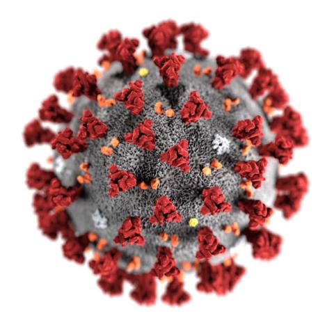 Coronavirus Prevention for coronavirus
